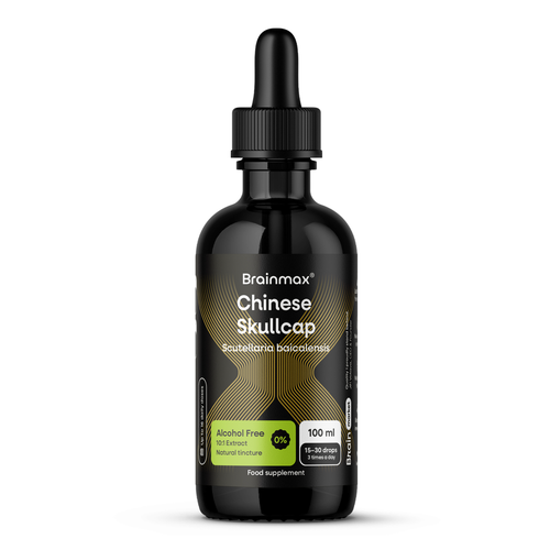 BrainMax Chinese Skullcap Alcohol Free Tincture, 10:1 Extract, 100 ml