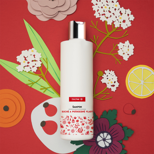 CALTHA - Šampon na suché a poškozené vlasy - Bezový květ a šípek, 250 ml