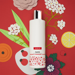 CALTHA - Šampon na suché a poškozené vlasy - Bezový květ a šípek, 250 ml